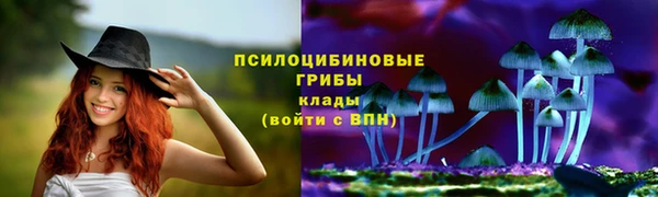 Альфа ПВП Приозерск