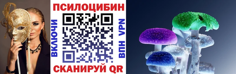 Купить  Эртиль  Галлюциногенные грибы Psilocybine cubensis 